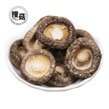 China supplier custom healthy organic dried shiitake mushroom